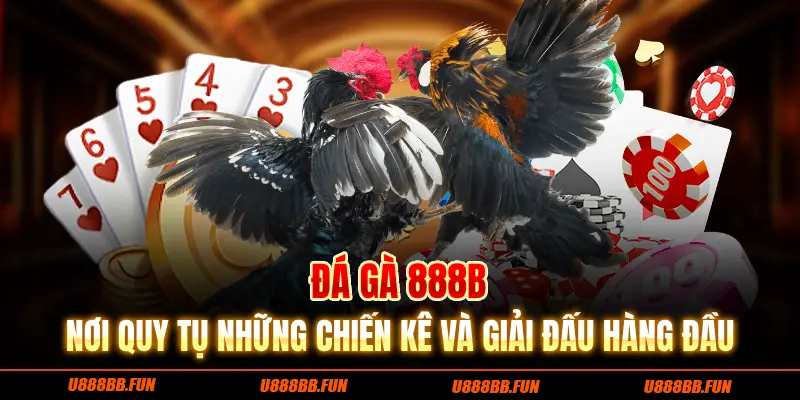 Đá gà 888B nơi quy tụ những chiến kê dũng mãnh và giải đấu hàng đầu